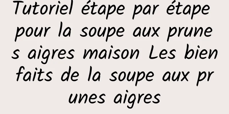 Tutoriel étape par étape pour la soupe aux prunes aigres maison Les bienfaits de la soupe aux prunes aigres