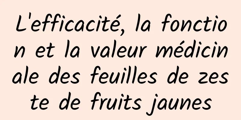 L'efficacité, la fonction et la valeur médicinale des feuilles de zeste de fruits jaunes