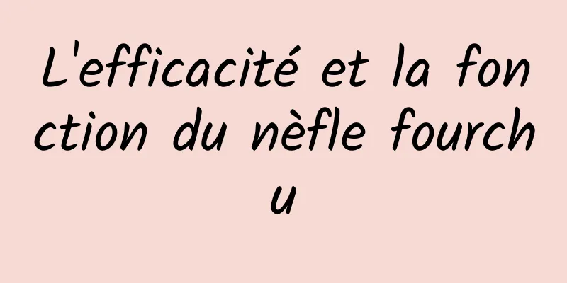 L'efficacité et la fonction du nèfle fourchu