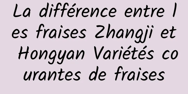 La différence entre les fraises Zhangji et Hongyan Variétés courantes de fraises