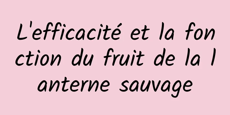 L'efficacité et la fonction du fruit de la lanterne sauvage