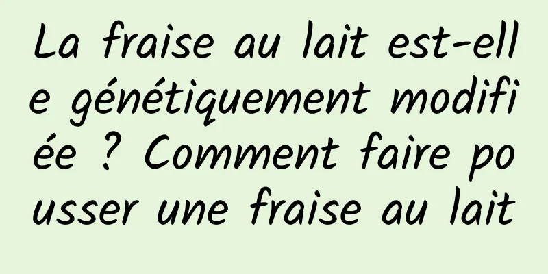 La fraise au lait est-elle génétiquement modifiée ? Comment faire pousser une fraise au lait