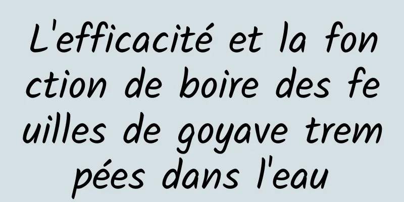 L'efficacité et la fonction de boire des feuilles de goyave trempées dans l'eau