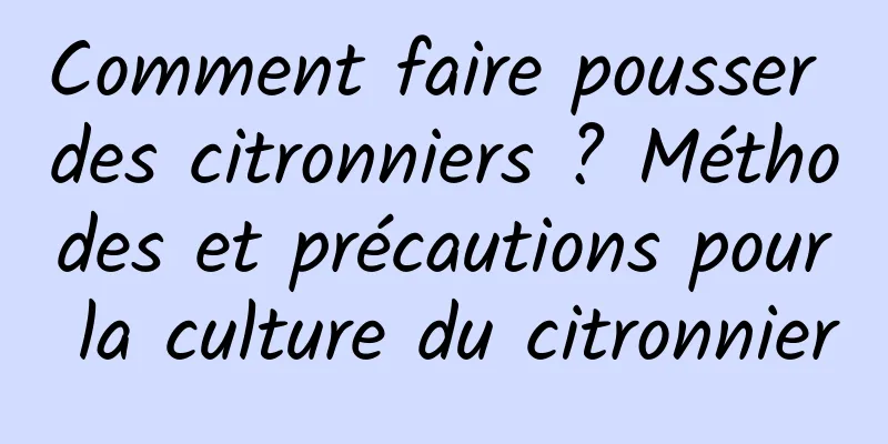 Comment faire pousser des citronniers ? Méthodes et précautions pour la culture du citronnier