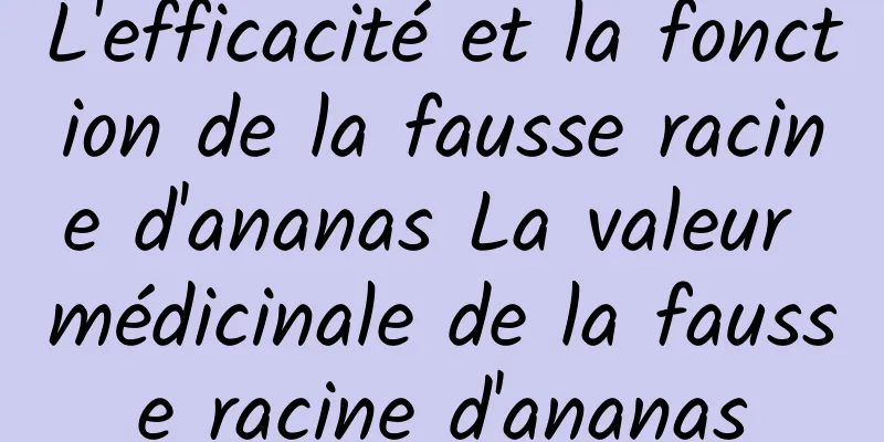 L'efficacité et la fonction de la fausse racine d'ananas La valeur médicinale de la fausse racine d'ananas