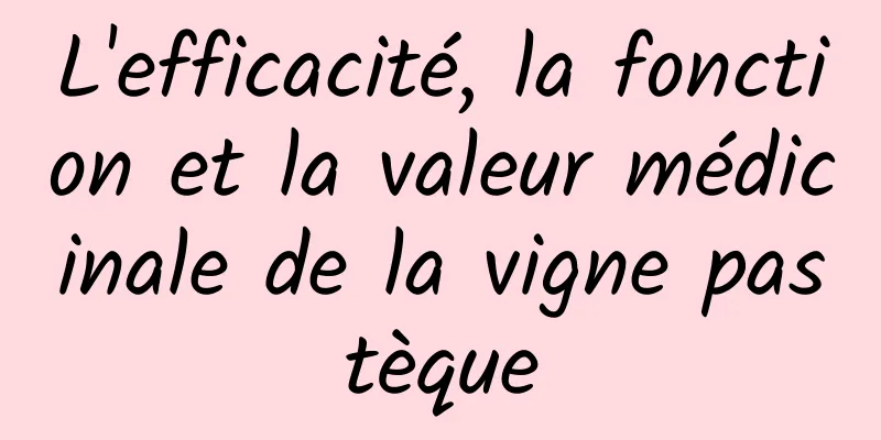 L'efficacité, la fonction et la valeur médicinale de la vigne pastèque