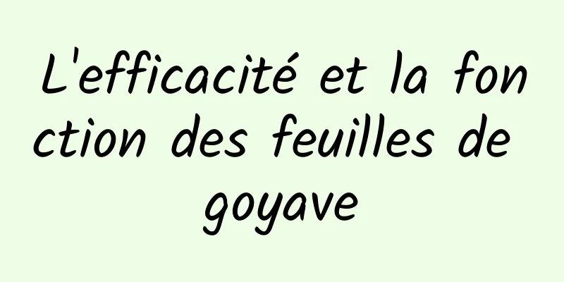 L'efficacité et la fonction des feuilles de goyave