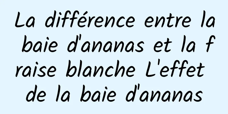 La différence entre la baie d'ananas et la fraise blanche L'effet de la baie d'ananas