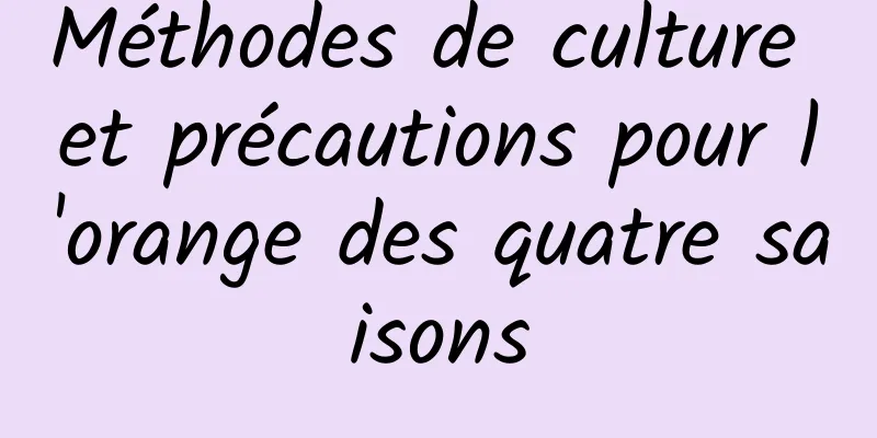 Méthodes de culture et précautions pour l'orange des quatre saisons