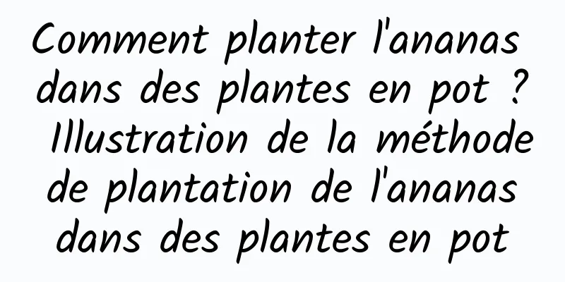 Comment planter l'ananas dans des plantes en pot ? Illustration de la méthode de plantation de l'ananas dans des plantes en pot