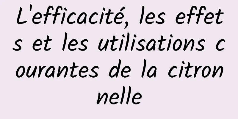 L'efficacité, les effets et les utilisations courantes de la citronnelle