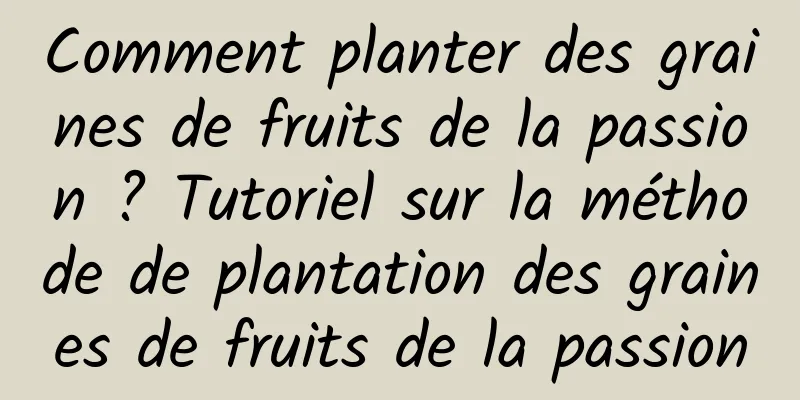 Comment planter des graines de fruits de la passion ? Tutoriel sur la méthode de plantation des graines de fruits de la passion