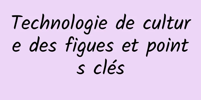 Technologie de culture des figues et points clés