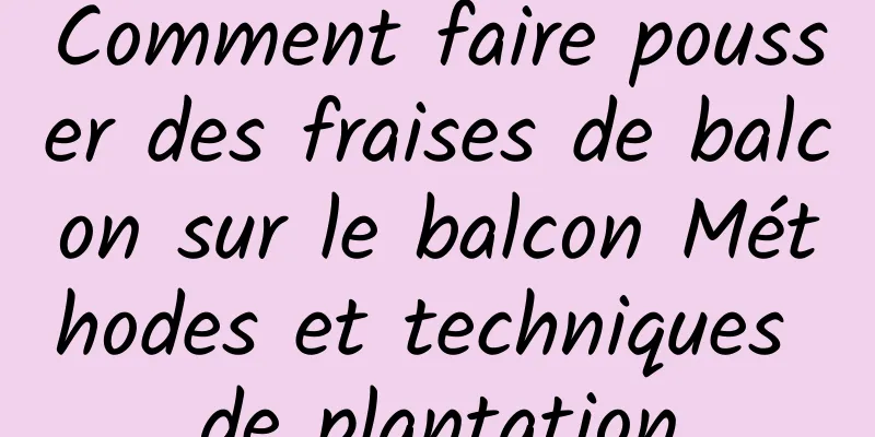 Comment faire pousser des fraises de balcon sur le balcon Méthodes et techniques de plantation