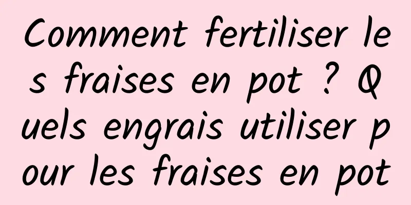 Comment fertiliser les fraises en pot ? Quels engrais utiliser pour les fraises en pot