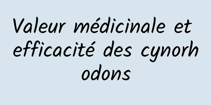 Valeur médicinale et efficacité des cynorhodons