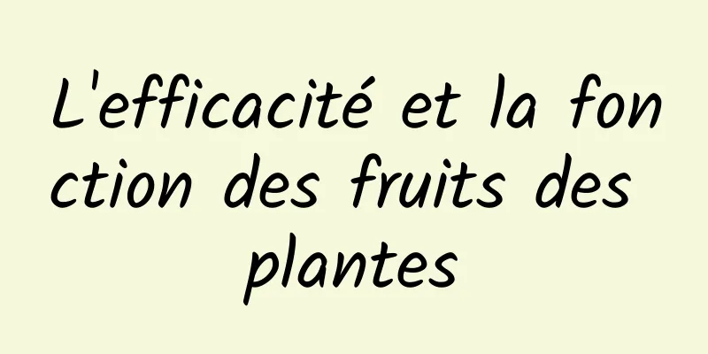 L'efficacité et la fonction des fruits des plantes