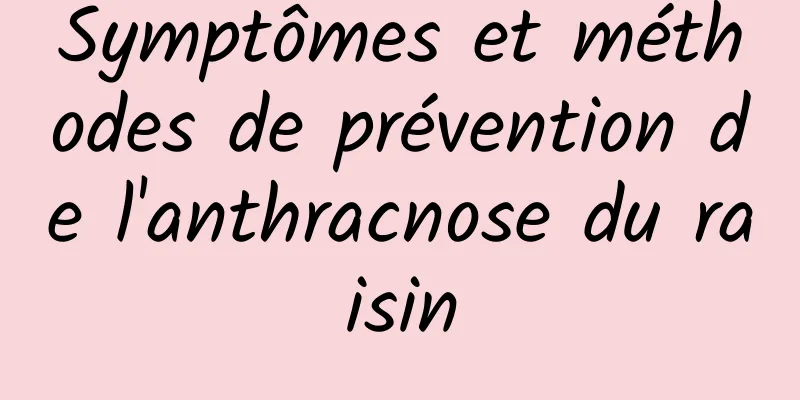 Symptômes et méthodes de prévention de l'anthracnose du raisin