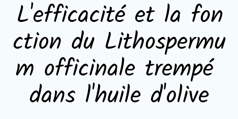 L'efficacité et la fonction du Lithospermum officinale trempé dans l'huile d'olive