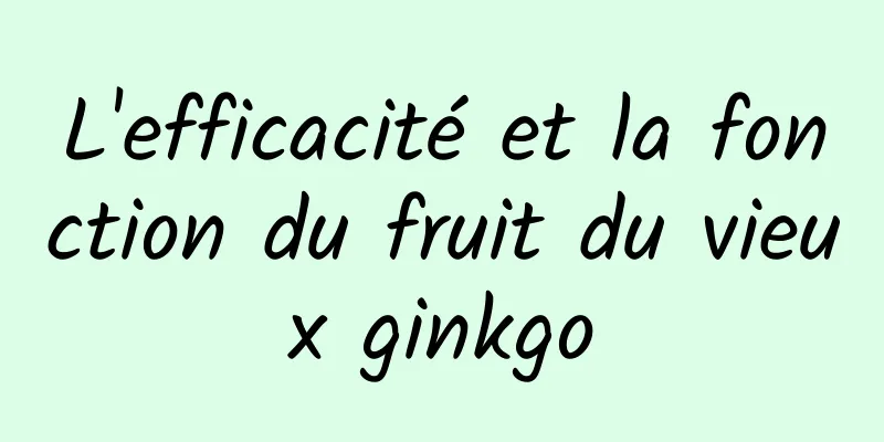 L'efficacité et la fonction du fruit du vieux ginkgo