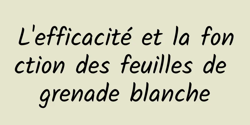 L'efficacité et la fonction des feuilles de grenade blanche