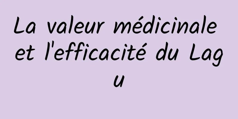 La valeur médicinale et l'efficacité du Lagu