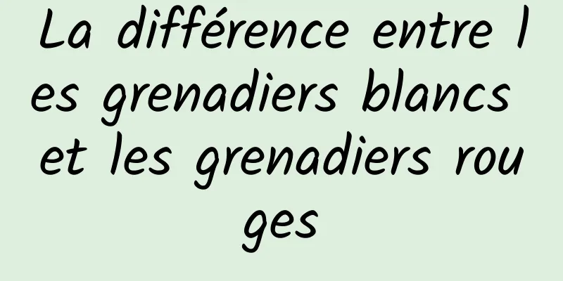 La différence entre les grenadiers blancs et les grenadiers rouges