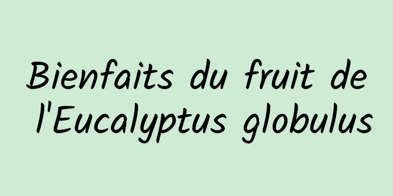 Bienfaits du fruit de l'Eucalyptus globulus