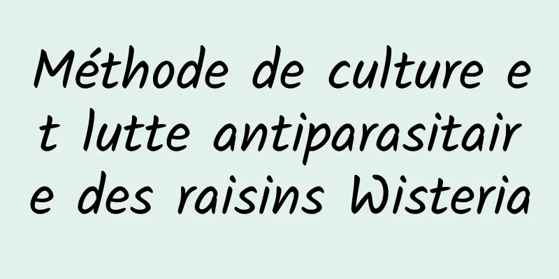 Méthode de culture et lutte antiparasitaire des raisins Wisteria