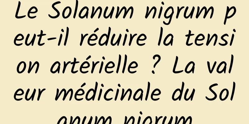 Le Solanum nigrum peut-il réduire la tension artérielle ? La valeur médicinale du Solanum nigrum