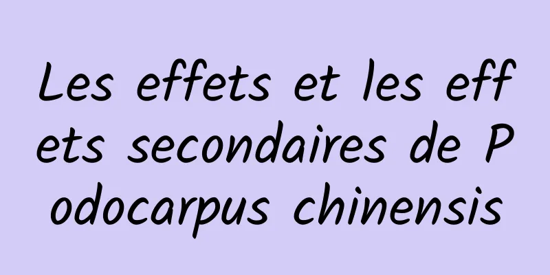 Les effets et les effets secondaires de Podocarpus chinensis