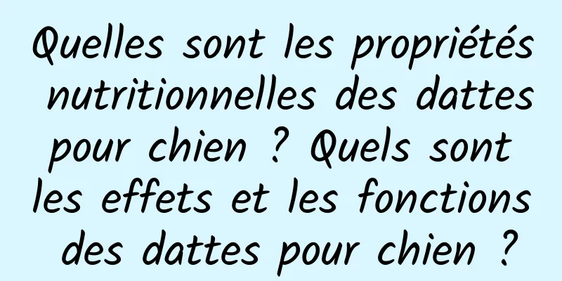 Quelles sont les propriétés nutritionnelles des dattes pour chien ? Quels sont les effets et les fonctions des dattes pour chien ?