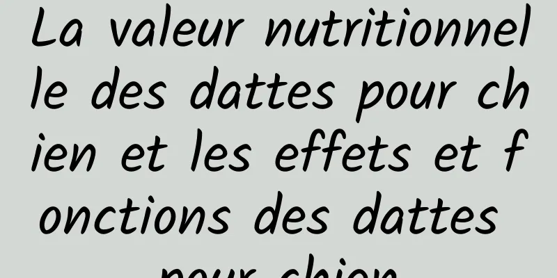 La valeur nutritionnelle des dattes pour chien et les effets et fonctions des dattes pour chien