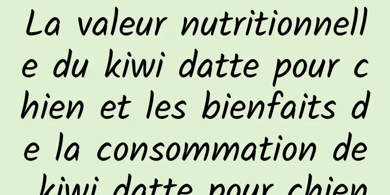 La valeur nutritionnelle du kiwi datte pour chien et les bienfaits de la consommation de kiwi datte pour chien