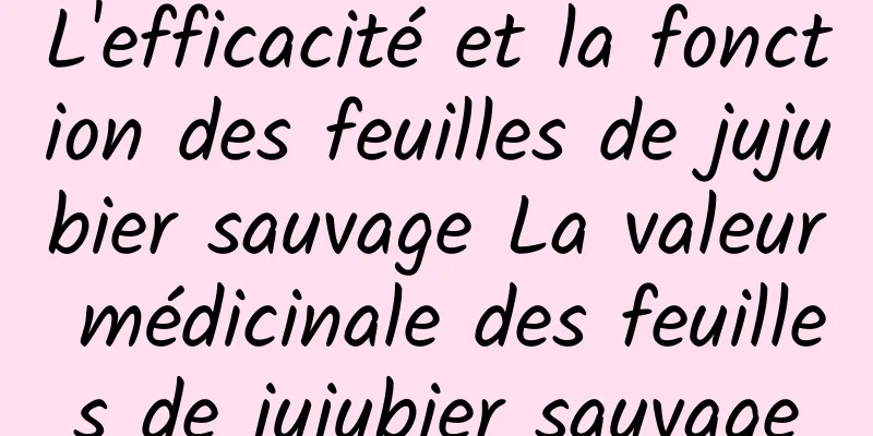 L'efficacité et la fonction des feuilles de jujubier sauvage La valeur médicinale des feuilles de jujubier sauvage