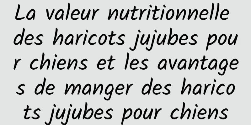 La valeur nutritionnelle des haricots jujubes pour chiens et les avantages de manger des haricots jujubes pour chiens