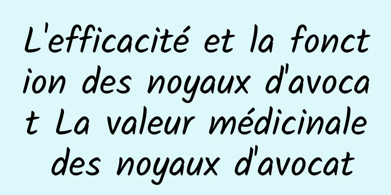 L'efficacité et la fonction des noyaux d'avocat La valeur médicinale des noyaux d'avocat