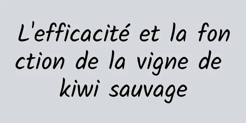 L'efficacité et la fonction de la vigne de kiwi sauvage