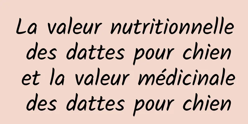 La valeur nutritionnelle des dattes pour chien et la valeur médicinale des dattes pour chien