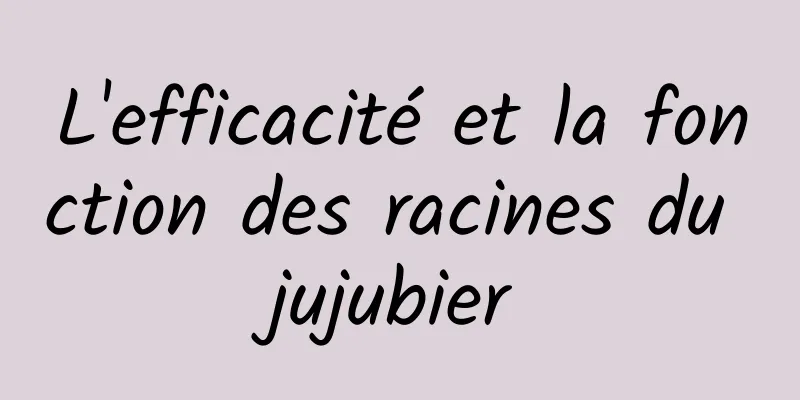 L'efficacité et la fonction des racines du jujubier