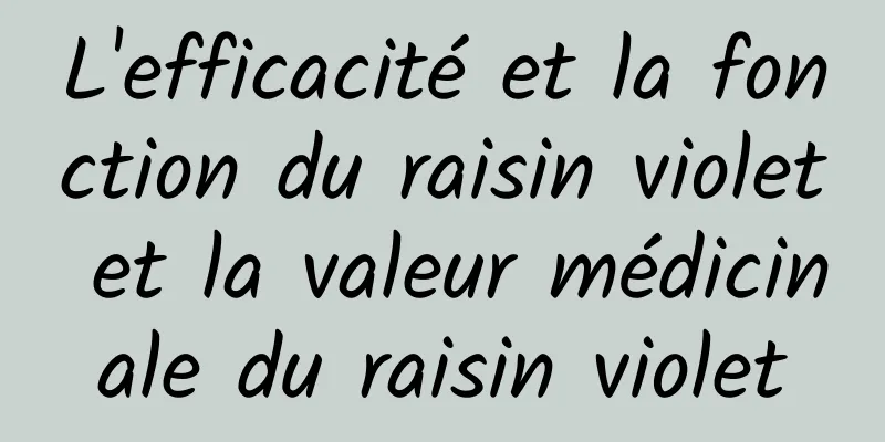 L'efficacité et la fonction du raisin violet et la valeur médicinale du raisin violet