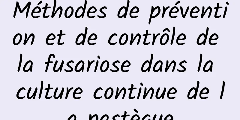 Méthodes de prévention et de contrôle de la fusariose dans la culture continue de la pastèque