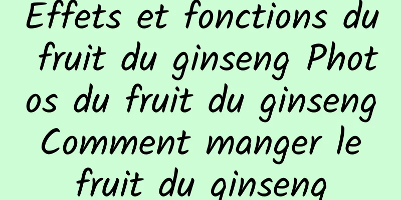 Effets et fonctions du fruit du ginseng Photos du fruit du ginseng Comment manger le fruit du ginseng