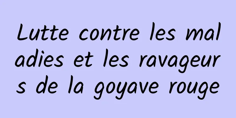 Lutte contre les maladies et les ravageurs de la goyave rouge