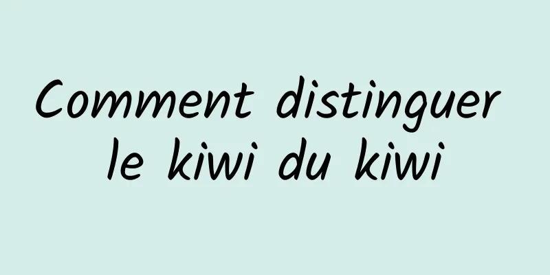 Comment distinguer le kiwi du kiwi