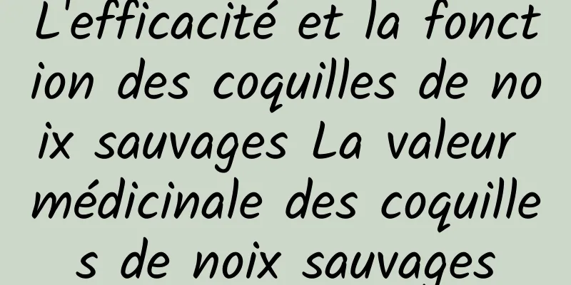 L'efficacité et la fonction des coquilles de noix sauvages La valeur médicinale des coquilles de noix sauvages