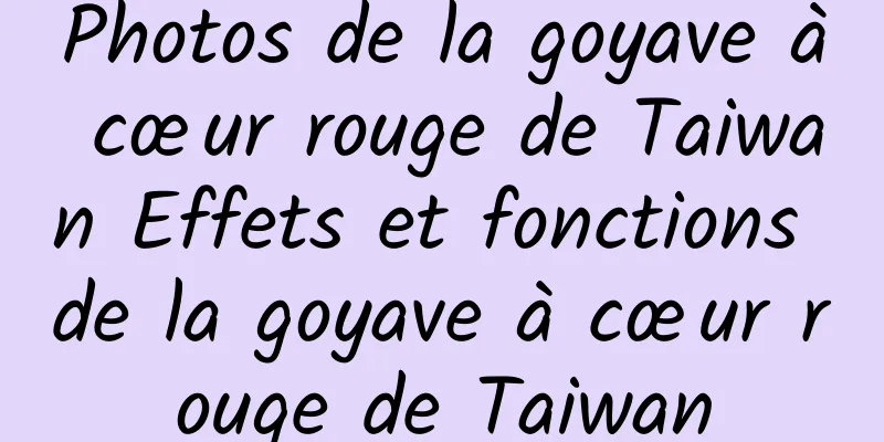 Photos de la goyave à cœur rouge de Taiwan Effets et fonctions de la goyave à cœur rouge de Taiwan