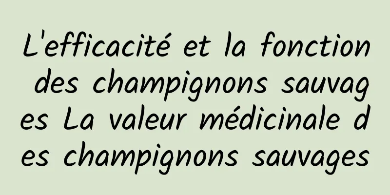 L'efficacité et la fonction des champignons sauvages La valeur médicinale des champignons sauvages