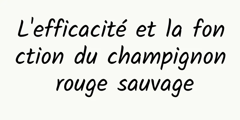 L'efficacité et la fonction du champignon rouge sauvage