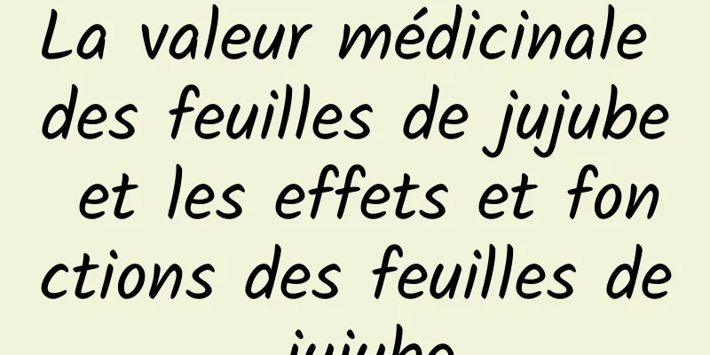 La valeur médicinale des feuilles de jujube et les effets et fonctions des feuilles de jujube